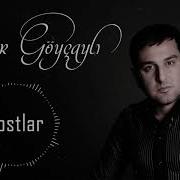 Dostlar Elsevir