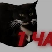 Кот Танцует 1 Час