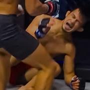 Mma Stomach Kick