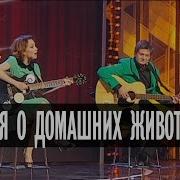 Дизель Шоу Песня О Домашних Животных