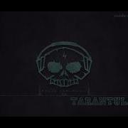 Tarantulas By Alrota Music 1Hour