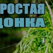 О Рыбалке Простая Донка Для Ловли Рыбы Рыбалка На Донку