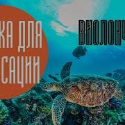 Виолончель Релакс