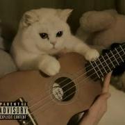 Acoustic Ukulele Beat Free