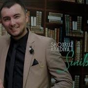 Shohruz Abadiya Sinib Ketadi 2019