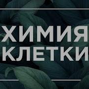 Химия Клетки Белки Жиры Углеводы Егэ Биология Даниил Дарвин