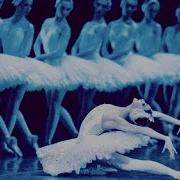 Svetlana Zakharova Odette Variation Coda