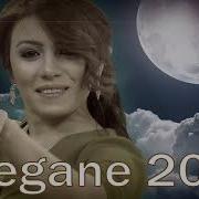 Yegane Sevgimiz 2019