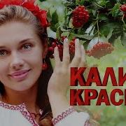 Калина Красная Красивые Песни