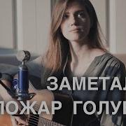 Мая Заметался Пожар Голубой Текст Песни