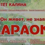 Ой Цветёт Калина Караоке