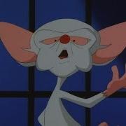 Animaniacs Pinky And The Brain Russian 2003