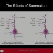 Molecular Synapse Chapter 2