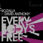 Rozalla Feat David Anthony Everybody S Free Cover Art