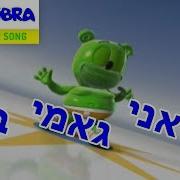 Ani Gami Ber Gummy Bear Hebrew