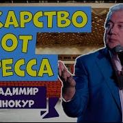 Владимир Винокур Юмористический Концерт Лучшие Юмористы Юмор Пародии