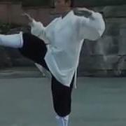 Wudang Zhang San Feng Taiji 28 By Master Li Yuan Fei Of Wudang Kungfu Academy