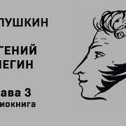 А С Пушкин Евгений Онегин Аудио Книга 3 Глава