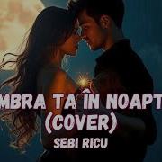 Umbra Ta In Noapte Cover