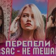 Перепели Rsac Nba Лучшие Кавера На Не Мешай Cover Саша Капустина