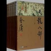 45有声书朗读版 天龙八部 第45章 枯井底 污泥处