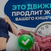 Матрица Гаряева Для Жкт И Мочеполовой Системы