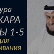 Аль Бакара 1 5