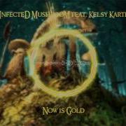 Infected Mushroom Now Is Gold Hd