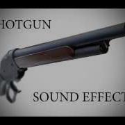 Shotgun Sound Effect