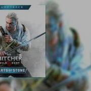 Mystery Man Witcher 3