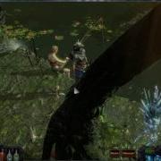 Лесное Убежище Path Of Exile