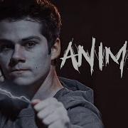 Animals Void Stiles