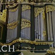 Organ Fantasia