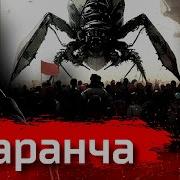 Lumen Социализм