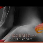 Katnip Feat Asta Stupid As You