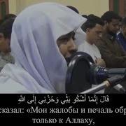 Сура 12 Юсуф Аяты 53 87 Чтец Анас Джалхум Красивое Чтение Корана