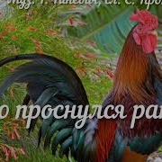 Кто Проснулся Рано Петушок Слушать