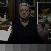 Уроки Надежды Ильиной По Голландскому Натюрморту Урок 2 Анализ