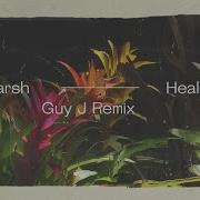 Marsh Healer Guy J Remix