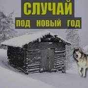 Случай Под Новый Год Судьба Собаки Дом В Лесу Выживание Рассказы Истории Из Жизни Аудиокнига Сериал
