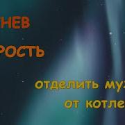 Инстинкт Гнева