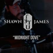 Midnight Dove Shawn James Cover