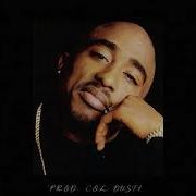 Free 2Pac Type Beat