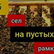 Пчеловодство