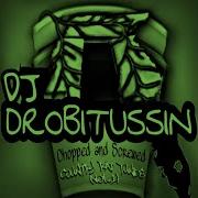 Put Your Hands Up In The Air Dj Drobitussin