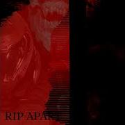 Lowrater Rip Apart