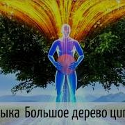 Большое Дерево Цигун