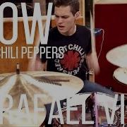 Red Hot Chilli Peppers Snow Hey Oh Drum Cover