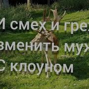 Анекдоты Про Измену Муж Из Командировки Любовницы И Любовники