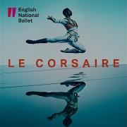 English National Ballet Philharmonic Le Corsaire Pas D Escalve Gulnare Variation